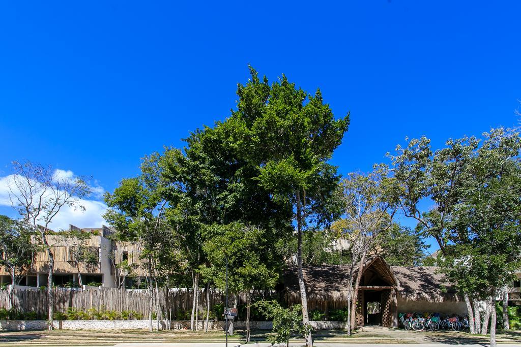 טולום Eco-Chic Design Condos Wrapped In Nature'S Elements By Stella Rentals מראה חיצוני תמונה